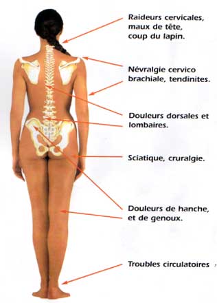 Reprsentation humain des articulations
